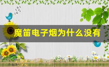 魔笛电子烟