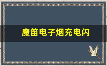 魔笛电子烟充电