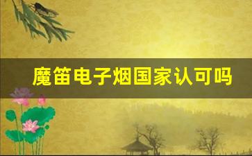 魔笛电子烟国家认可情况