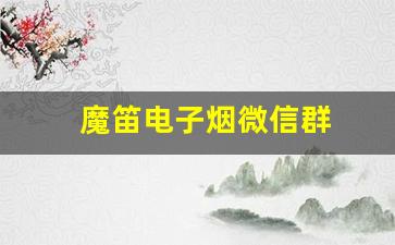 魔笛电子烟微信群