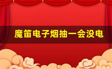 魔笛电子烟示意图