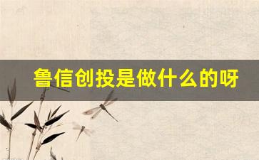鲁信创投是做什么的呀(鲁信创投官网)_https://www.brunchezvous.com_旅游攻略_第1张