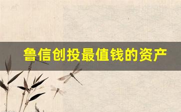 鲁信创投最值钱的资产是(鲁信创投估值千亿)_https://www.luoxuangg888.com_北交所_第1张