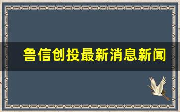 鲁信创投最新消息新闻发布会(鲁信创投最新消息新闻发布会视频)_https://www.heiljjianzu.com_上交所_第1张