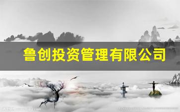 鲁创投资管理有限公司苏志强简历(鲁创投资管理有限公司苏志强简历介绍)_https://www.heiljjianzu.com_科创板_第1张