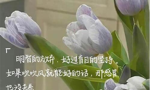 鲜花发朋友圈唯美句子经典语句_鲜花发朋友圈写什么好