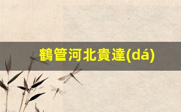 鶴管河北貴達(dá)廠(chǎng)家直銷(xiāo)(鶴管生產(chǎn)廠(chǎng)家排名)(1)