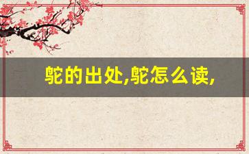 鸵的出处,鸵怎么读,鸵的意思,鸵的拼音-第1张图片-我的生活随想