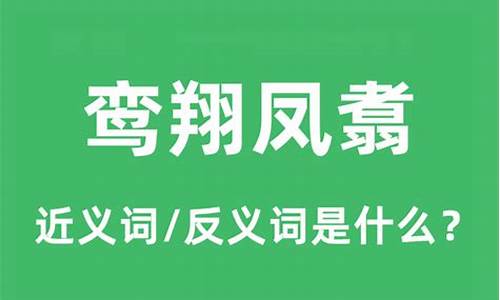 鸾翔凤翥形容一个人_鸾翔凤翥