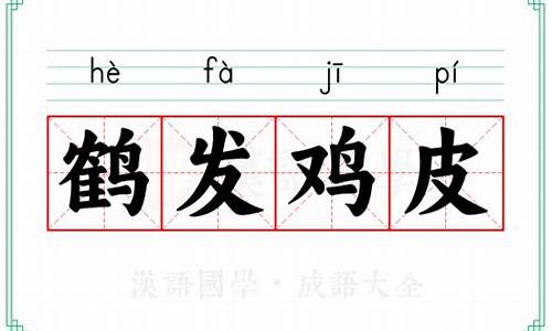 鹤发鸡皮的意思解释-鹤发鸡皮打一数字