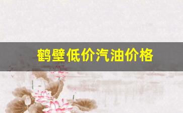鹤壁市哪儿的汽油便宜-鹤壁低价汽油价格