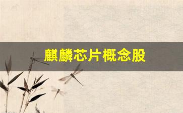 麒麟芯片概念股(麒麟芯片概念股 高鸿)_https://www.wguangz.com_广期所_第1张
