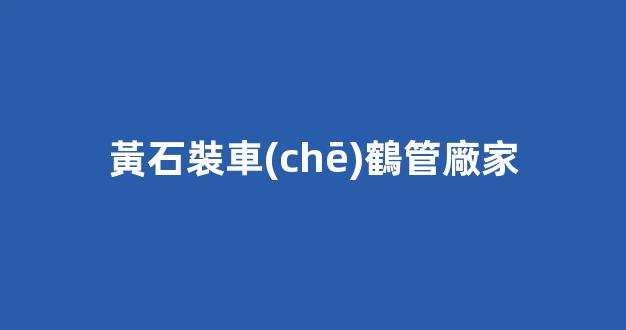 黃石裝車(chē)鶴管廠家(裝車(chē)鶴管裝卸成本怎么樣)(1)
