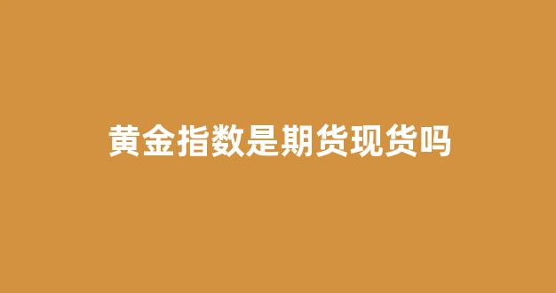 黄金指数是期货现货吗(黄金指数期货交易)_https://www.gfdzclz.com_科创板_第1张