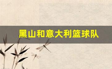 黑山和意大利篮球队-黑山和意大利篮球队比赛