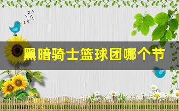 黒暗骑士-黑暗骑士篮球团哪个节目