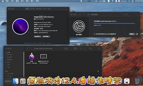 黑苹果电脑系统更新太频繁-黑苹果更新macos big sur