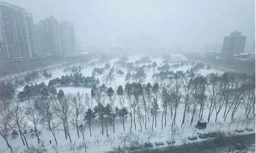 黑龙江下雪了吗_黑龙江下雪了吗昨天2024年