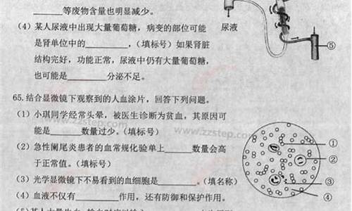 黑龙江省高考卷子,黑龙江高考试题及答案