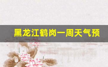 黑龙江鹤岗一周天气预报30天_天气预报黑龙江鹤岗市天气预报