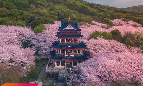 鼋头渚门票_鼋头渚门票包含的客渡船到哪坐