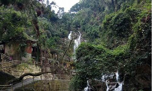 鼎湖山旅游攻略一日游-鼎湖山 一日游攻略