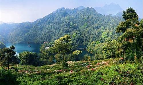 鼎湖山风景区开放时间一览表_鼎湖山风景区开放时间一览表最新