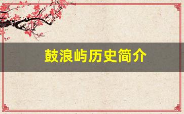 鼓浪屿历史简介300字-鼓浪屿历史简介