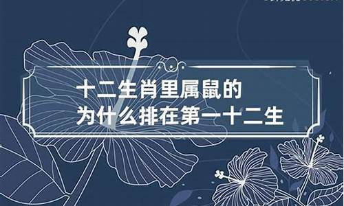 鼠在生肖里属什么-鼠在生肖里叫什么