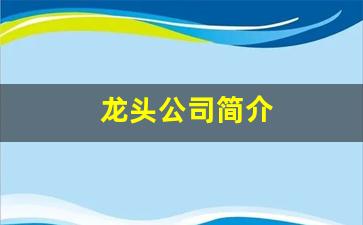 龙头公司简介(龙头企业简介)_https://www.qldgs.com_原油期货_第1张