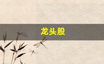龙头股(龙头股份股吧)_https://www.huakunhengjia.com_财经资讯_第1张