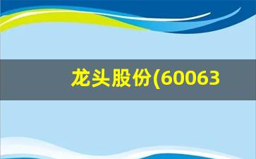 龙头股份(600630)股吧(龙头股份(600630)股吧千股千评)_https://www.huakunhengjia.com_股票资讯_第1张