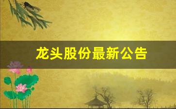 龙头股份最新公告(龙头股份最新消息新闻)_https://www.hbxfywj.com_证券知识_第1张