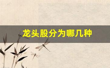 龙头股分为哪几种(龙头股的基本特征)_https://www.heiljjianzu.com_创业板_第1张