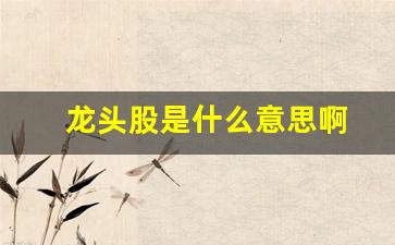龙头股是什么意思啊(龙头股是怎么定义的)_https://www.heiljjianzu.com_深交所_第1张