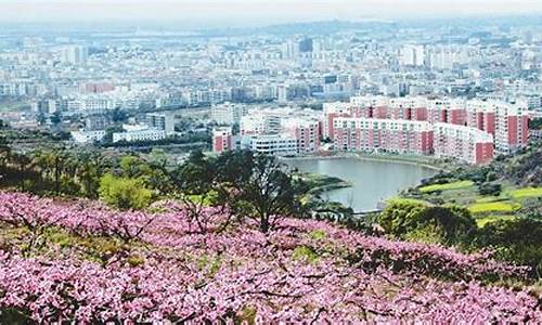 龙泉驿区天气预报一周天气_龙泉驿天气情况