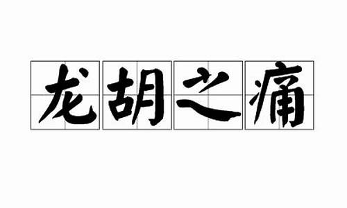 龙胡之痛指哪里-龙胡实业投资可靠吗